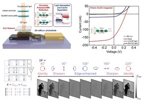 국립창원대 안종태 교수팀, 세계 최초 