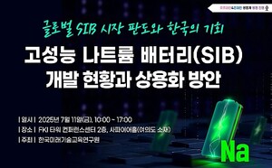 고성능 나트륨 배터리 개발 현황 및 상용화 방안은