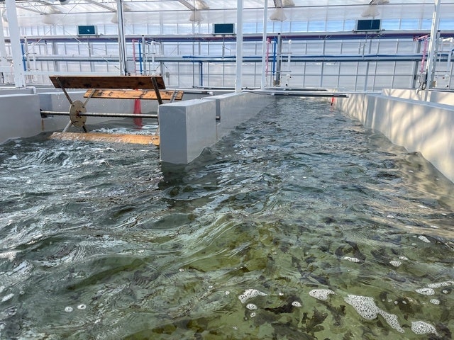 전북도, 육상 김 양식 기술 등 기후위기 대응 선도